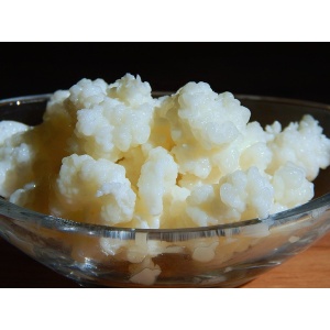 dish-of-kefir-grains_1045156376