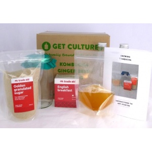 kombucha-kit