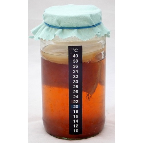 thermometer-on-jar