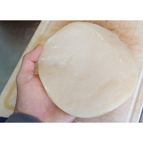 xl_scoby